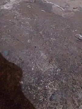 Snapshot of Orlao25cm chatting on November 16, 4:40 am Orlao25cm online show from November 16, 4:40 am