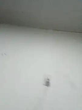 Nonname3 online show from November 11, 5:18 am