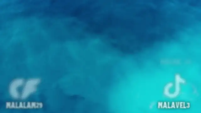 Nalan   online show from February 10, 6:06 am