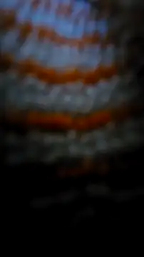 Sexecochon online show from December 22, 2:03 pm