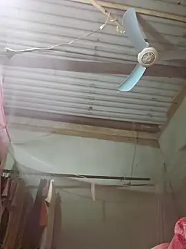 Squirrel-Pear online show from November 19, 2:39 pm