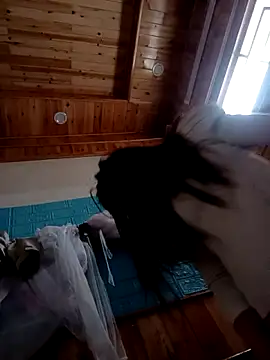 kokoto-59 online show from February 7, 1:09 am