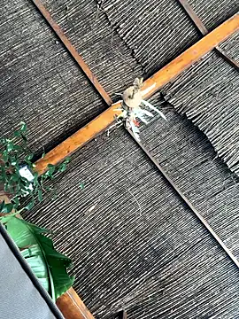 gitanoMad online show from April 3, 1:53 pm