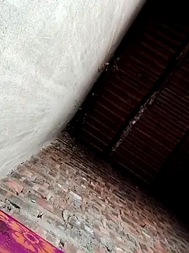 Bear bear0 online show from December 19, 10:17 pm