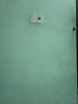  LAN  online show from November 3, 1:19 am