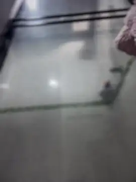 Violeet-Smith online show from March 27, 2:50 pm