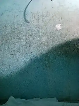 naveen 3222 online show from December 5, 7:06 am