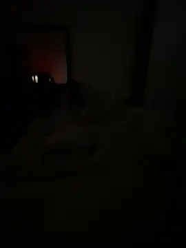 llllllllIIIll online show from February 17, 4:42 am