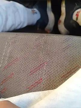 666Daemon666 online show from January 17, 11:19 pm