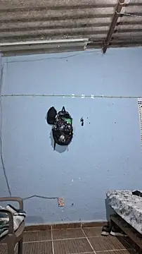 666Daemon666 online show from February 17, 7:16 am