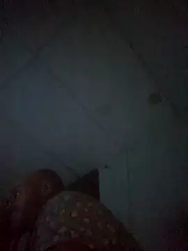 Snapshot of BulbasaurIsmettv chatting on November 12, 6:47 am BulbasaurIsmettv online show from November 12, 6:47 am