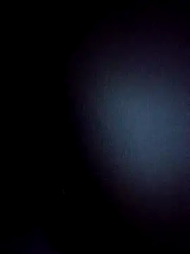 Snapshot of BulbasaurIsmettv chatting on December 2, 4:07 am BulbasaurIsmettv online show from December 2, 4:07 am