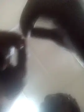 Snapshot of Blck420 chatting on November 21, 12:43 am Blck420 online show from November 21, 12:43 am