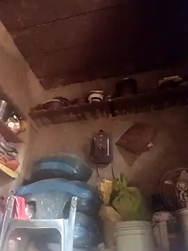 QRANSEXI online show from November 18, 9:03 am