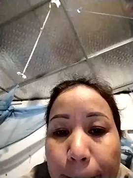 Snapshot of Gwen-n chatting on November 19, 4:56 am Gwen-n online show from November 19, 4:56 am