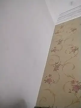 Snapshot of Hanaan-arabic chatting on June 4, 1:55 am Hanaan-arabic online show from June 4, 1:55 am