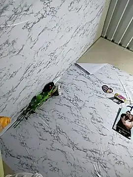 Anny 37 online show from January 18, 1:53 am