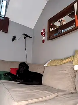 mattiethebaddieee online show from November 30, 8:35 pm