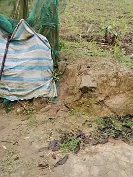 doggy-00 online show from April 16, 11:40 pm