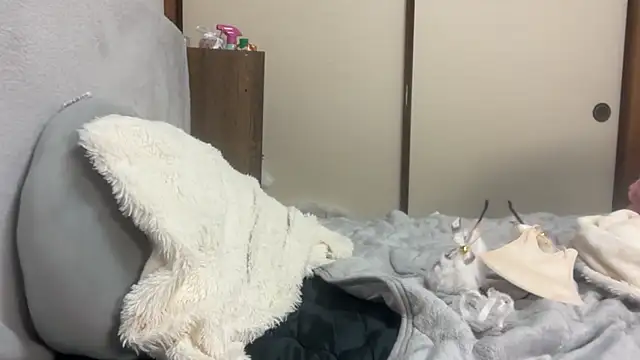 tubakiaki online show from April 1, 1:41 pm