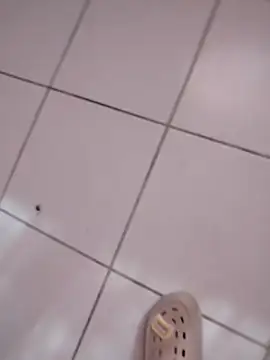 HomeyVending online show from November 11, 4:18 pm