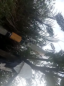 Snapshot of Camila-Valverde chatting on January 31, 8:51 pm Camila-Valverde online show from January 31, 8:51 pm