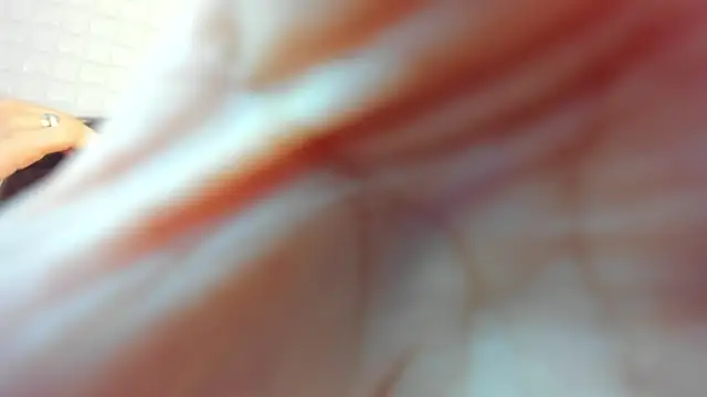 victoria 243 online show from February 23, 3:59 am