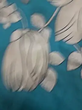 Haryanvi sanju online show from March 15, 4:13 pm