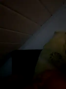 superbertok online show from November 20, 8:30 pm