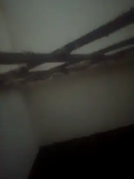 Pallu Asha online show from April 28, 3:50 pm