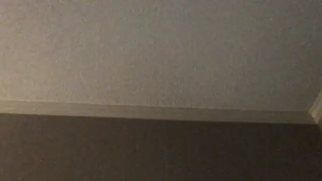 RyanSteeleXXX online show from December 2, 6:41 am