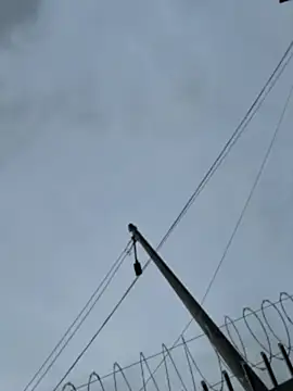 Samantha firee online show from April 13, 11:16 am