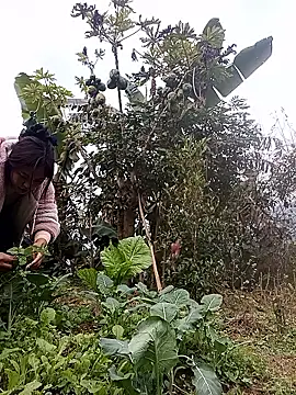 Alice-567 online show from January 11, 9:25 am