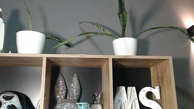 Snapshot of mickystrumia23 chatting on January 6, 12:03 am mickystrumia23 online show from January 6, 12:03 am