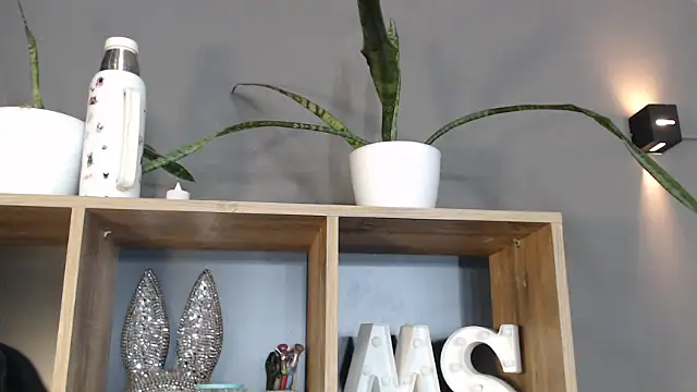 Snapshot of mickystrumia23 chatting on January 6, 6:44 pm mickystrumia23 online show from January 6, 6:44 pm