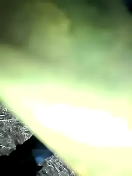 Snapshot of Realverse chatting on November 21, 4:49 pm Realverse online show from November 21, 4:49 pm