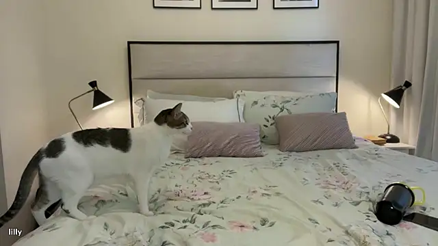 Snapshot of Itslillybloom chatting on November 14, 4:22 am Itslillybloom online show from November 14, 4:22 am