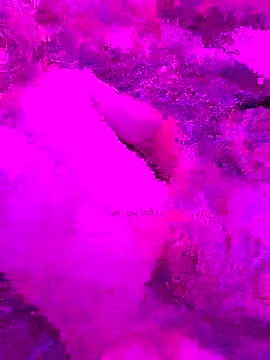 Snapshot of PitoDuroWuero chatting on November 27, 11:34 am PitoDuroWuero online show from November 27, 11:34 am