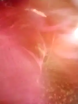 Jooli cuty online show from March 14, 2:28 am