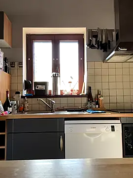 slt29 online show from November 5, 11:54 am