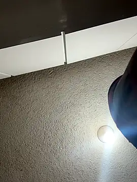 RaySullivan online show from November 10, 8:19 pm