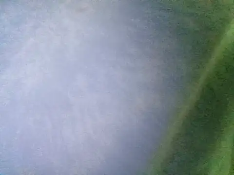 Ramzes1992Analog online show from November 5, 1:05 am