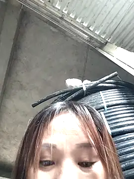 Snapshot of MINSSA502 chatting on November 17, 2:17 am MINSSA502 online show from November 17, 2:17 am