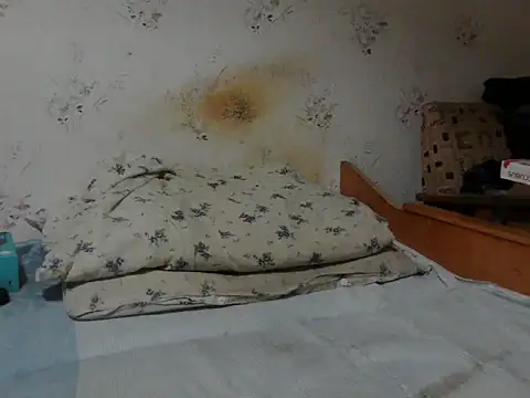 Snapshot of Kreol69 chatting on November 24, 4:12 am Kreol69 online show from November 24, 4:12 am