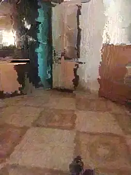 Snapshot of 7obi_7obi chatting on November 21, 2:38 pm 7obi 7obi online show from November 21, 2:38 pm