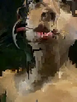 mara rosseX online show from November 9, 6:33 am