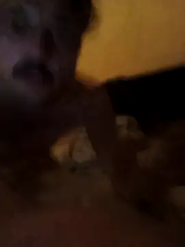 putosemlimiti online show from November 8, 11:58 pm