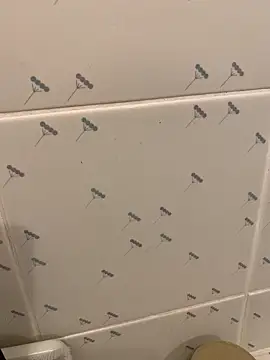 takekichi online show from March 25, 8:31 am