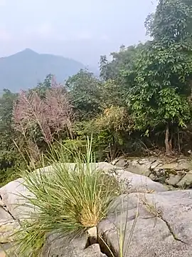 Lynly k2 online show from December 21, 5:25 am