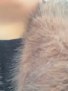 SashaCatt online show from November 23, 6:57 am